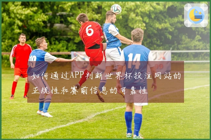 如何通过APP判断世界杯投注网站的正规性和赛前信息的可靠性