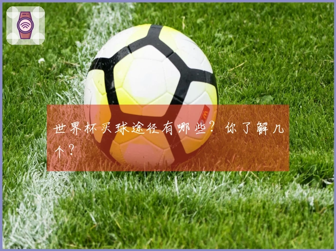 世界杯买球途径有哪些？你了解几个？