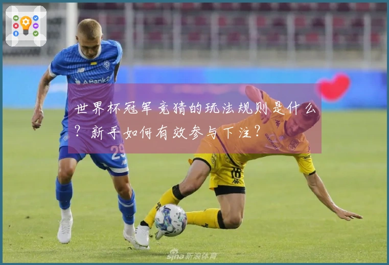 世界杯冠军竞猜的玩法规则是什么？新手如何有效参与下注？