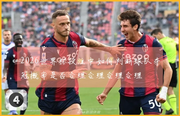 2026世界杯投注中如何判断球队夺冠概率是否合理合理合理合理